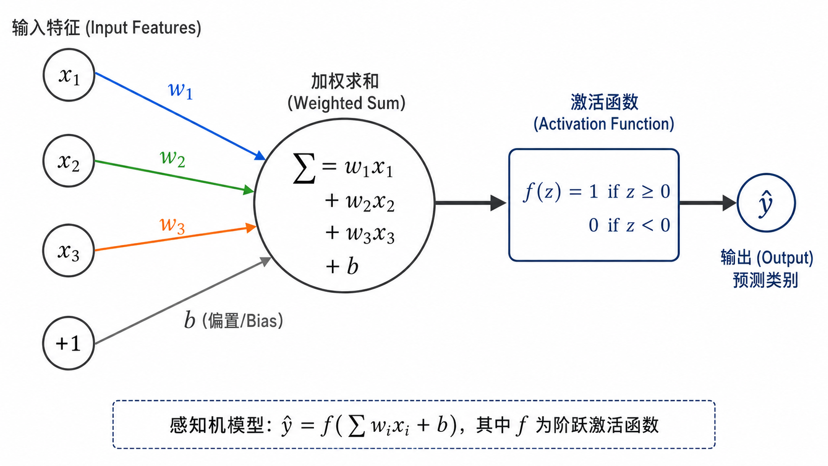 感知机结构拆解:输入 x₁,x₂,x₃ 通过权重 w₁,w₂,w₃ 加权求和,加上偏置 b,经过阶跃激活函数输出二分类结果