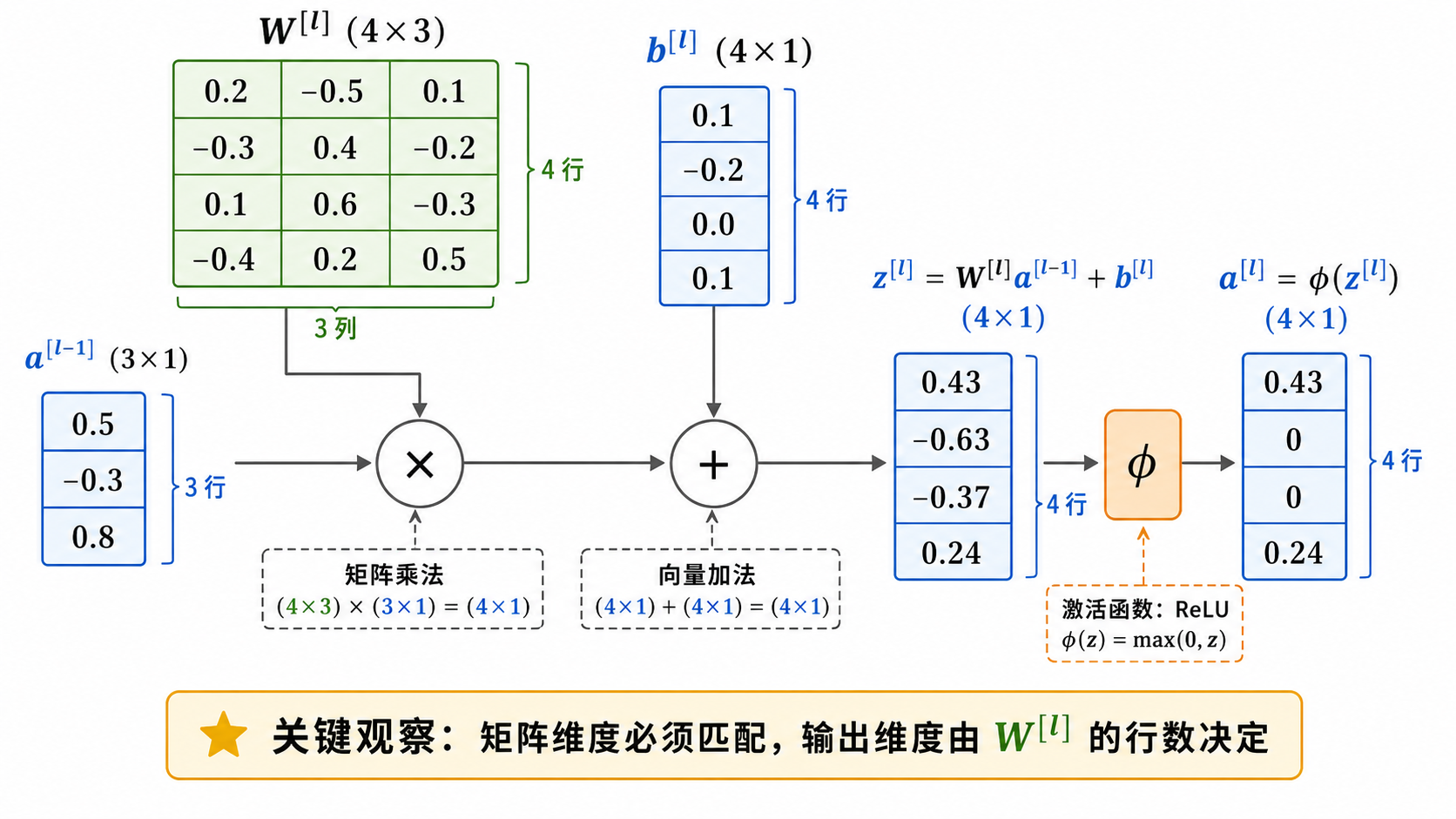 单层前向传播——矩阵维度详解