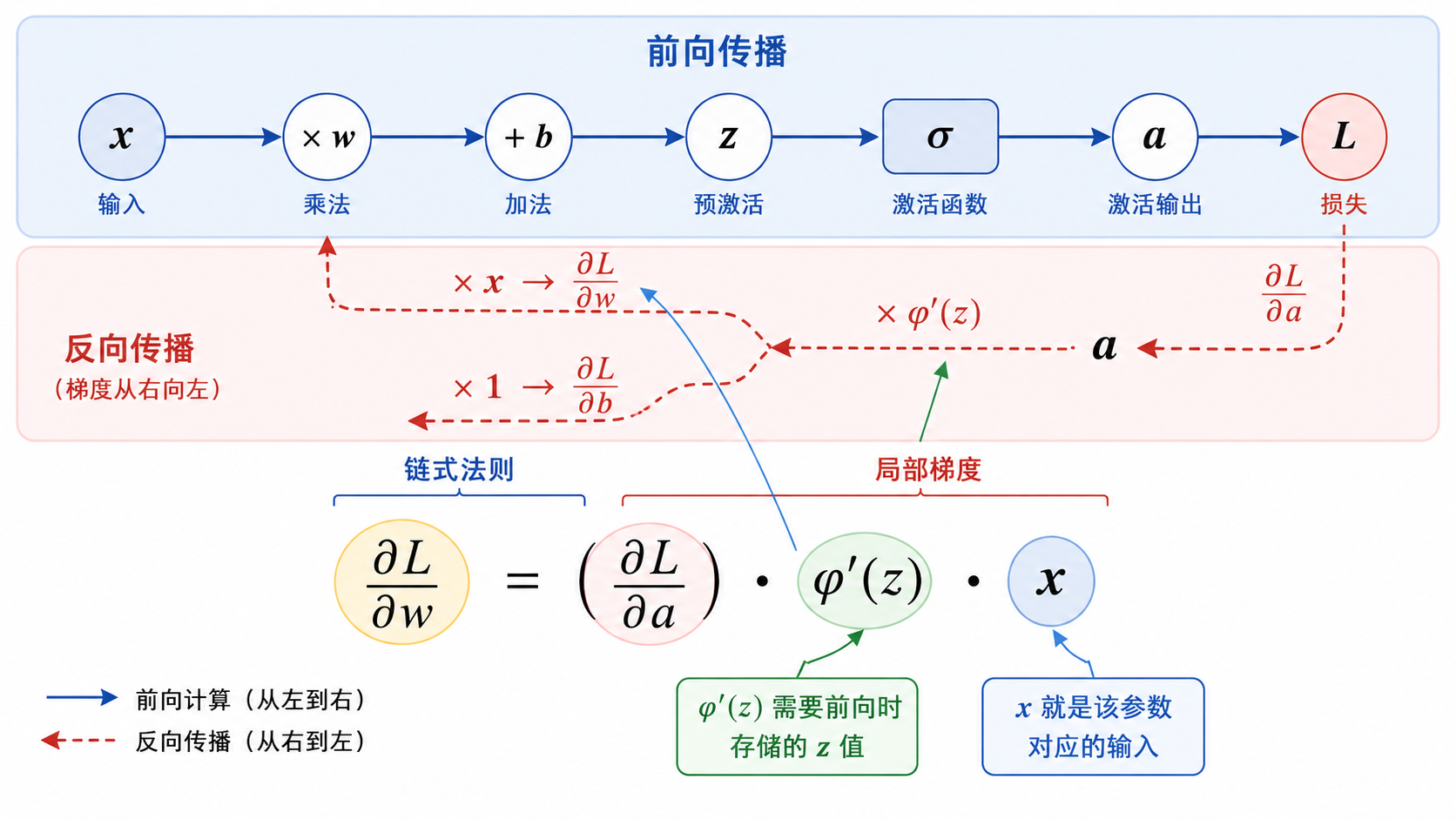 单神经元链式法则详解