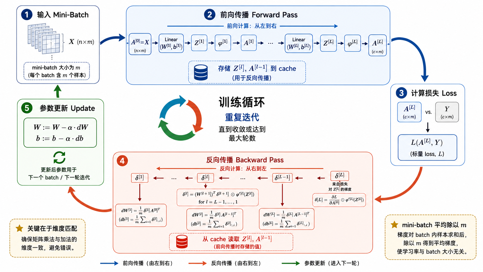 完整训练循环——正向+反向+更新