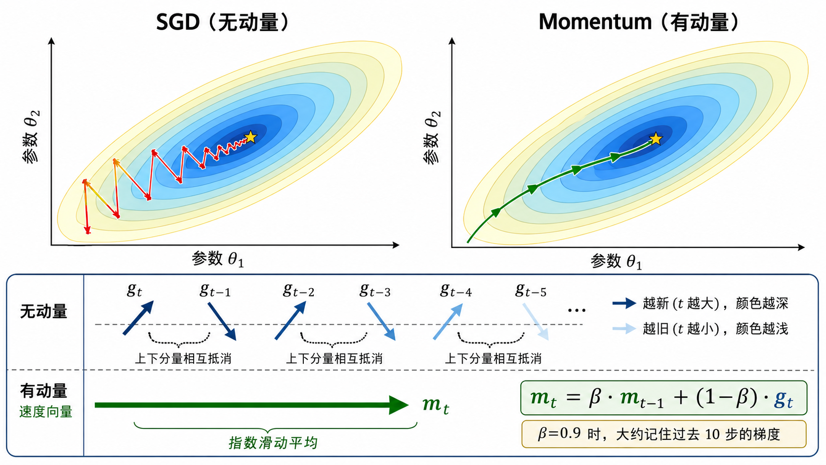 Momentum——惯性平滑路径