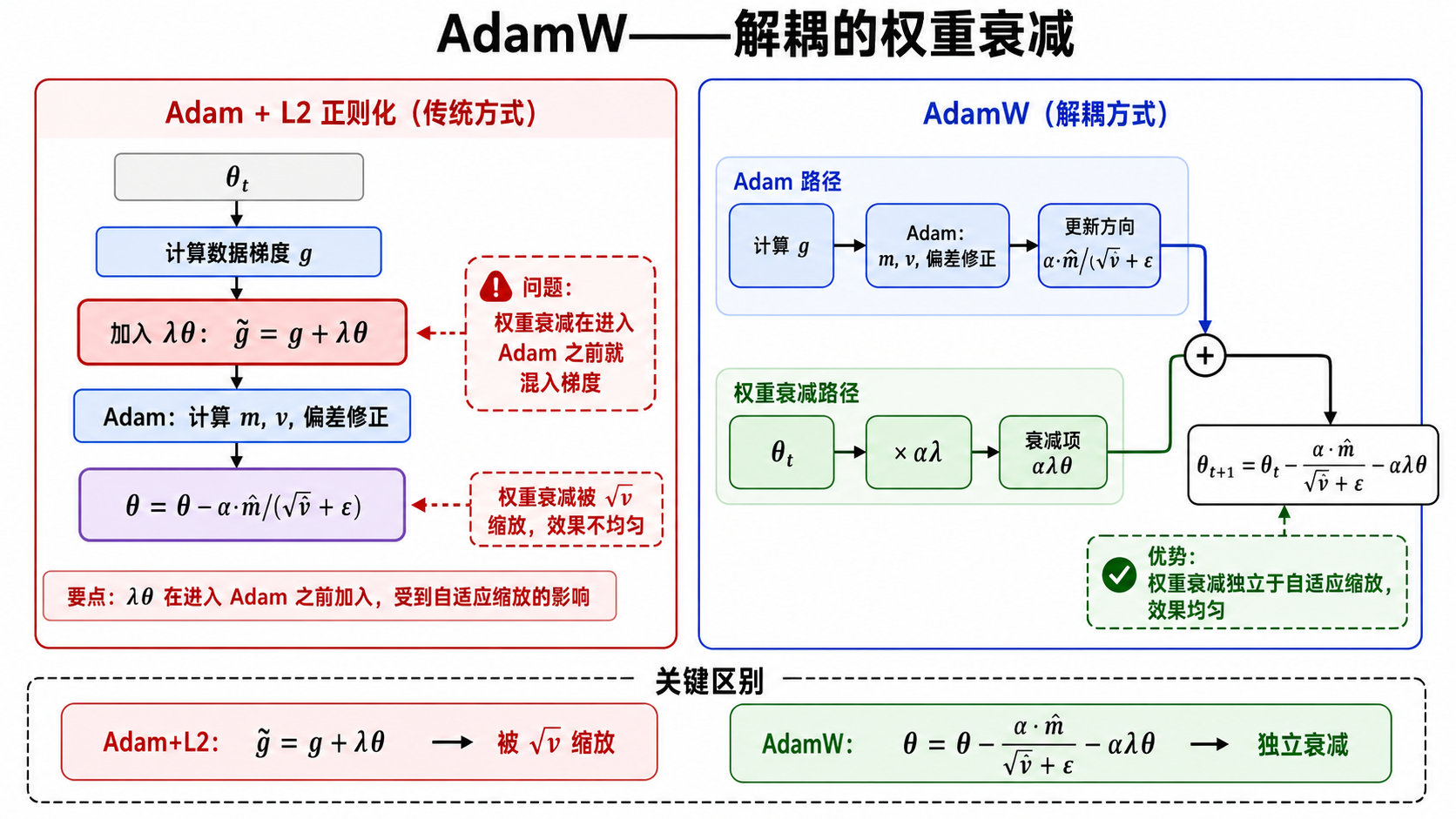 AdamW——解耦的权重衰减