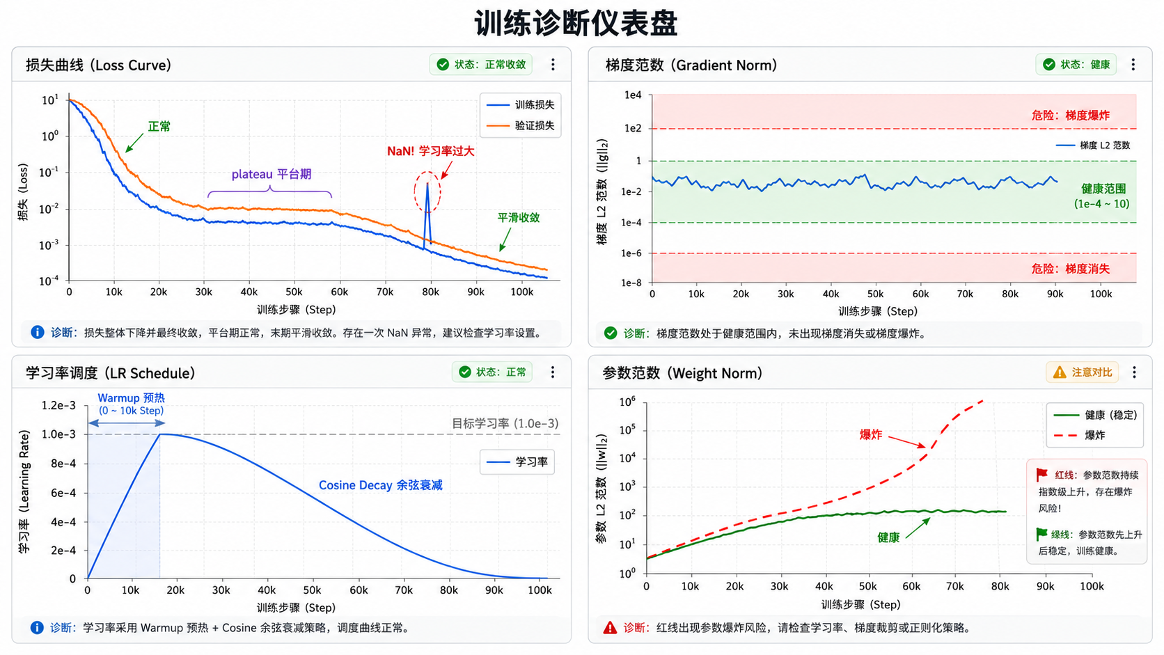 训练诊断仪表盘