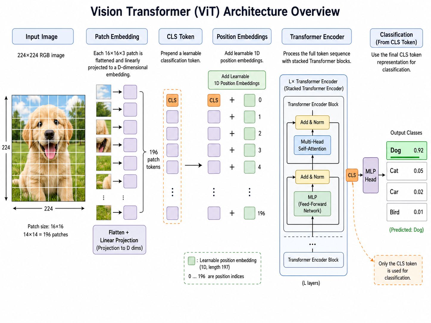 ViT architecture