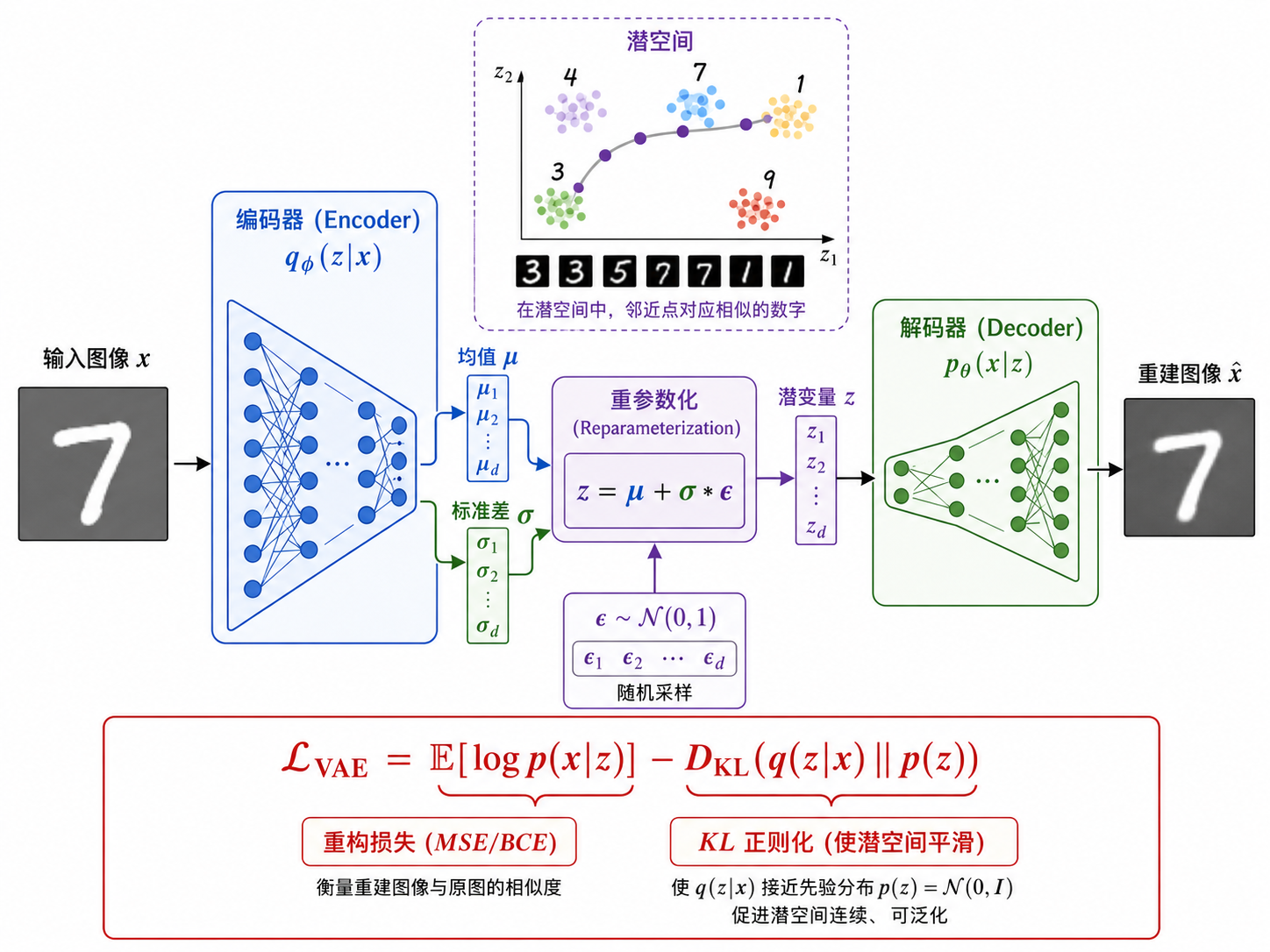 VAE 架构——编码器、潜空间与重参数化