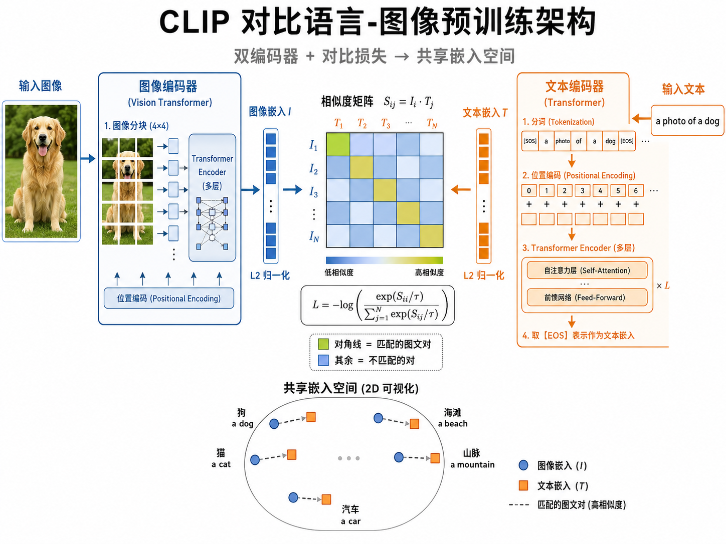 CLIP 双编码器架构