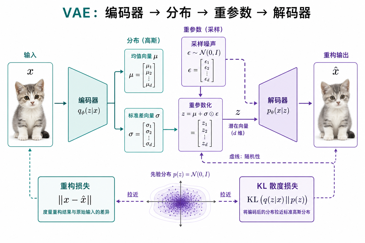 VAE 管线与两项损失
