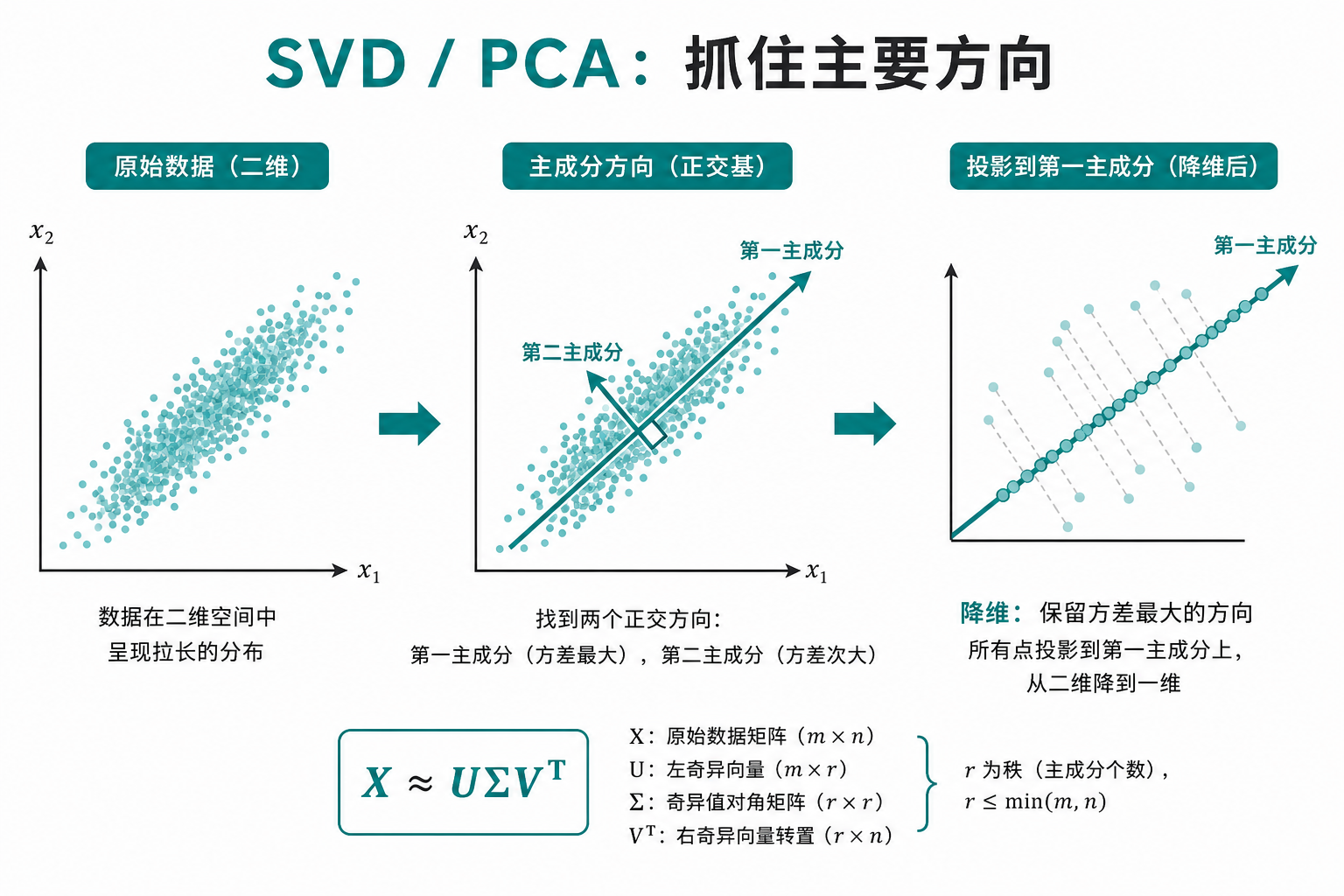 SVD / PCA：抓住主要方向