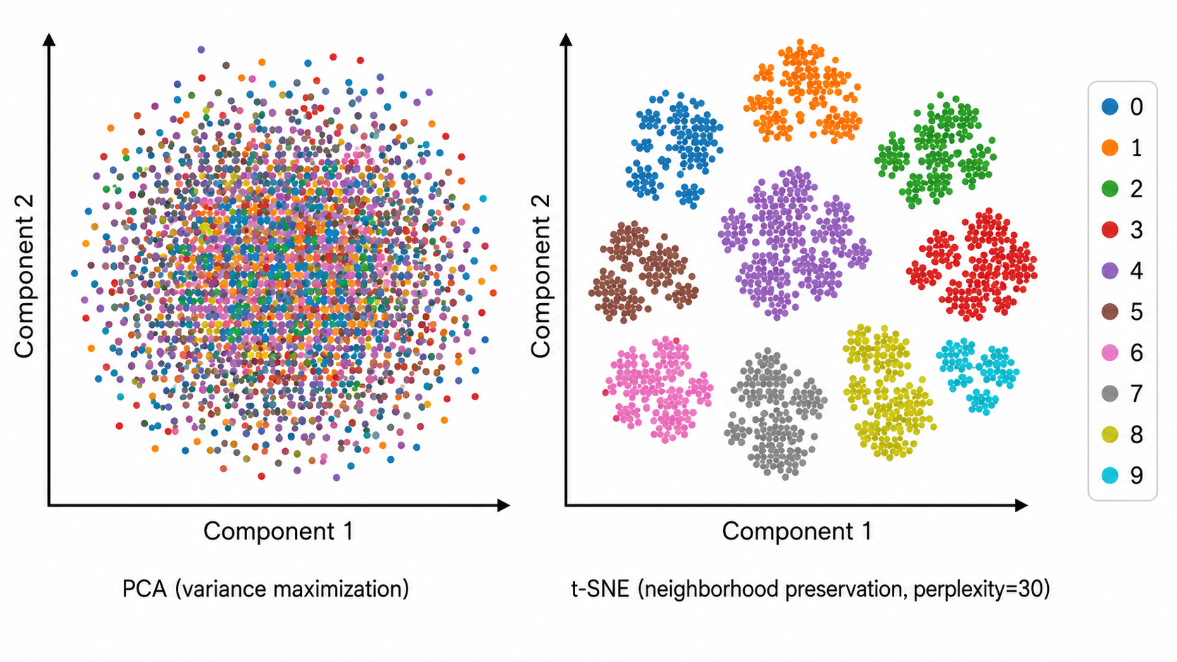 t-SNE 在 MNIST 手写数字的 2D 可视化：不同数字用不同颜色标注，同一数字的点自然聚在一起形成清晰的簇。对比 PCA 的同一数据可视化——PCA 图中各类数字混在一起无法区分