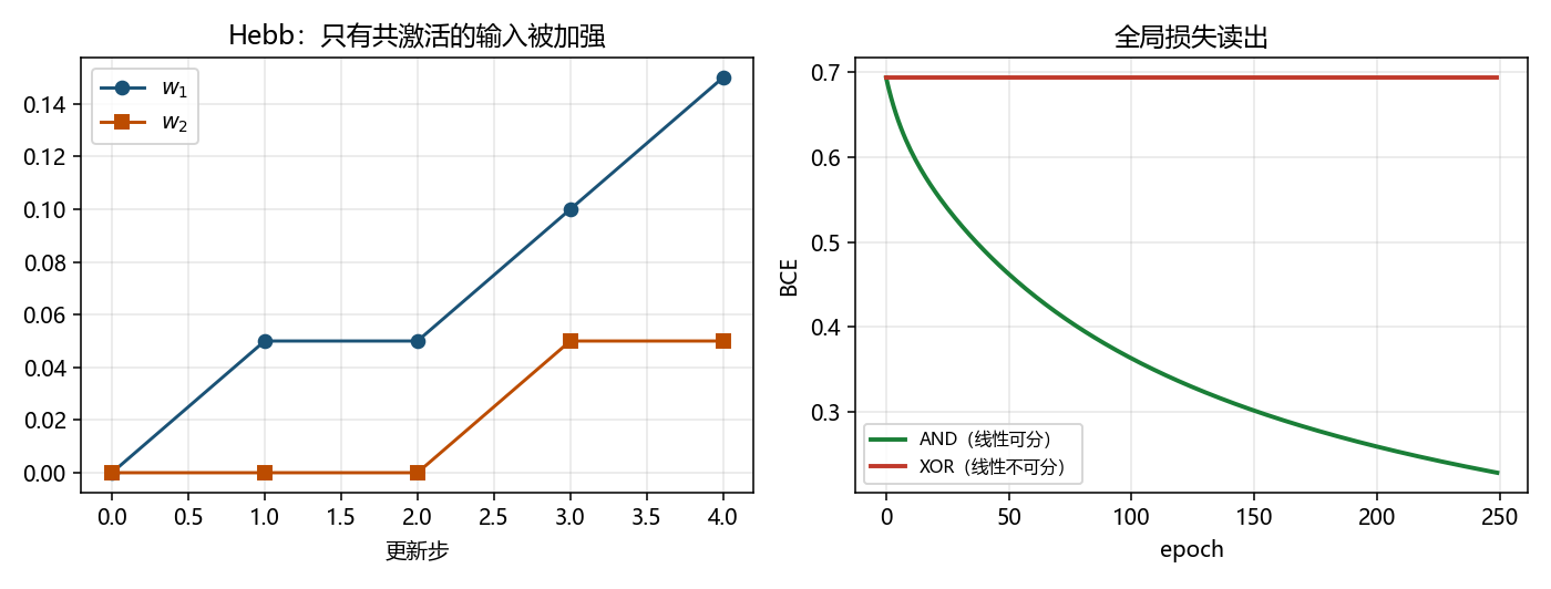 Hebb 相关 vs 反传读出损失