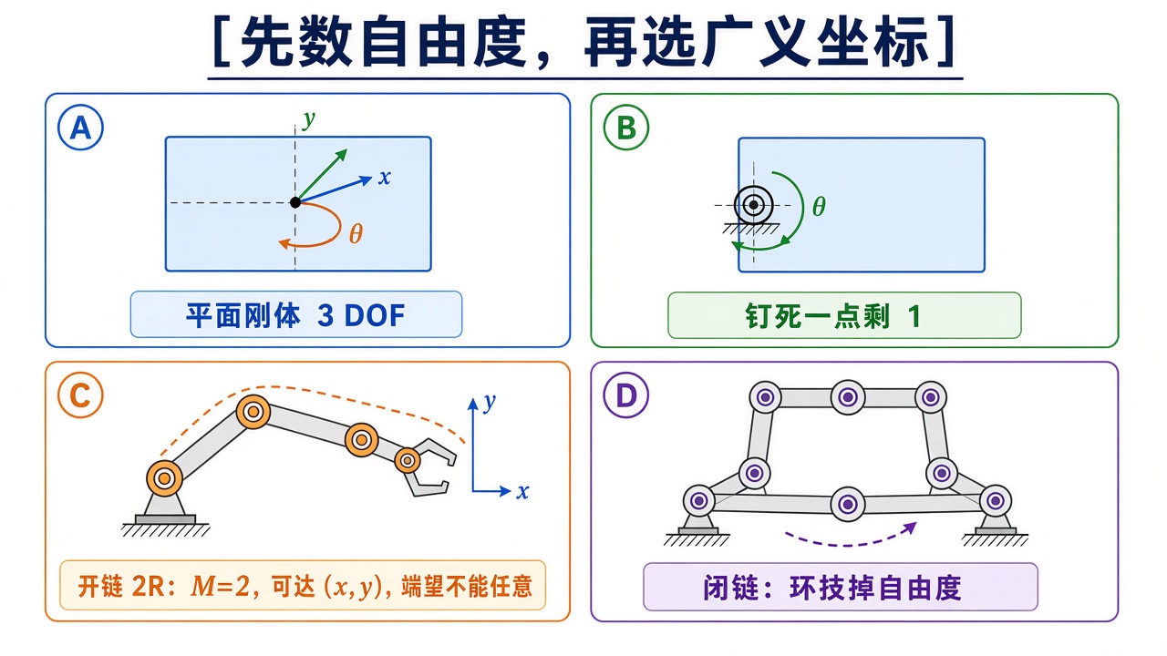 先数自由度，再选广义坐标